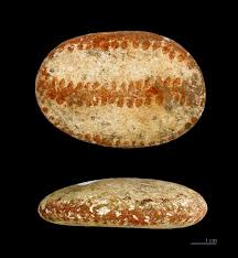 Registration closes: May 31, 2026